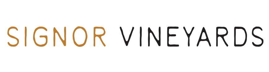 Signor Vineyard | VinoCadre